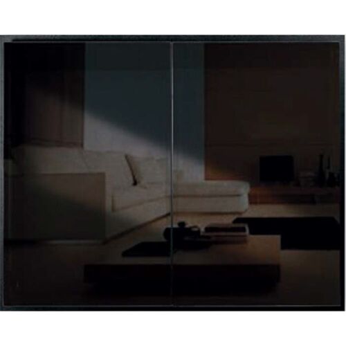 Design Specialties - The Odyssey Masonry & ZC Custom Fireplace Doors