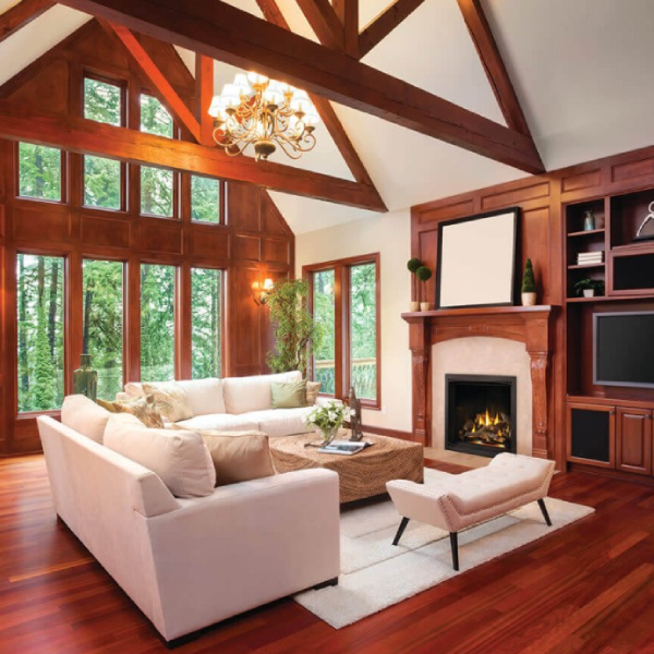 Napoleon Elevation X 36 Direct Vent Fireplace