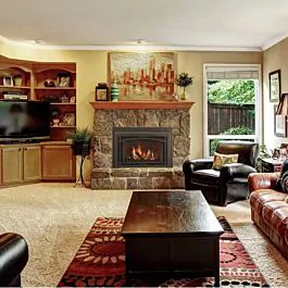 Majestic Ruby Direct Vent Gas Fireplace Insert - 35