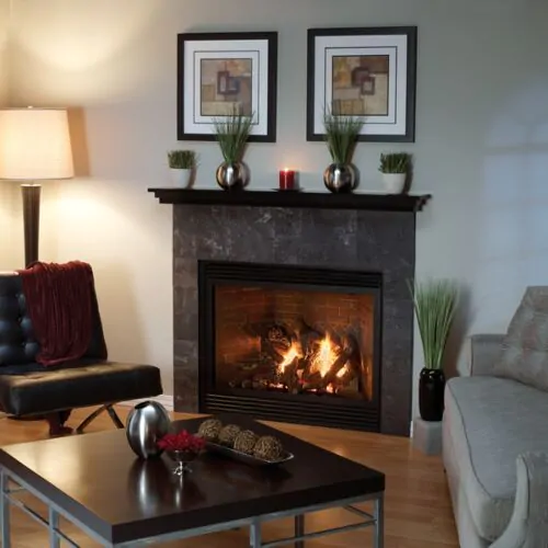 Empire Tahoe Direct Vent Gas Fireplace Luxury 42"