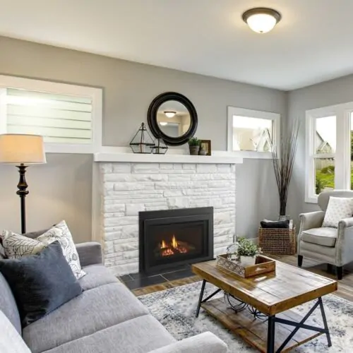 Majestic 30 Inch Jasper Direct Vent Gas Fireplace Insert