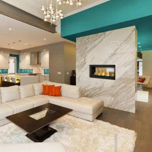 Napoleon 38" Vector See-Thru Direct Vent Gas Fireplace LV38