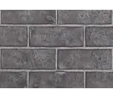 Westminster Standard