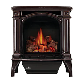 Napoleon GDS25 Bayfield Natural Gas Direct Vent Gas Stove