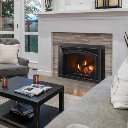 Heat & Glo Escape Insert 30"