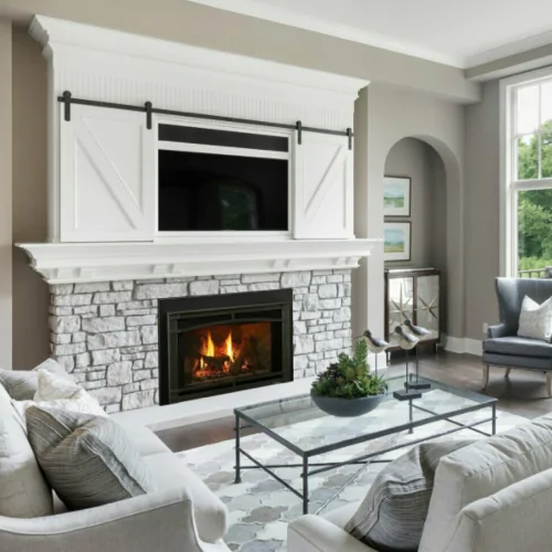 Heat & Glo Supreme Insert 25"