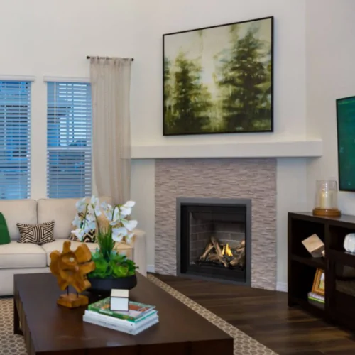 Napoleon Altitude Direct Vent Fireplaces - 36"