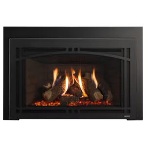 Majestic Ruby Platinum 30" Direct Vent Gas Insert