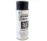 Touch up paint powder coat exterior