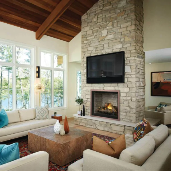 Napoleon Elevation 42 Direct Vent Fireplace