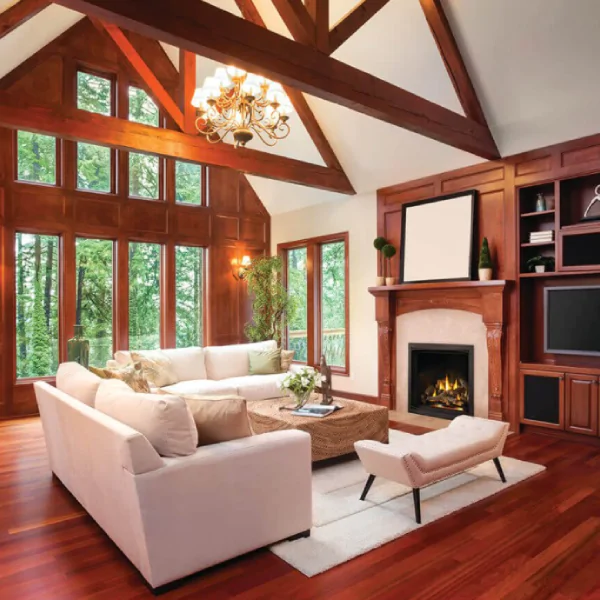 Napoleon Elevation X 36 Direct Vent Fireplace