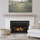 Heat & Glo Cosmo Insert 35"